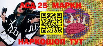 наркотики Гай