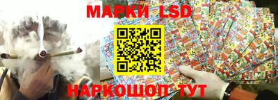 эйфоретик Гатчина