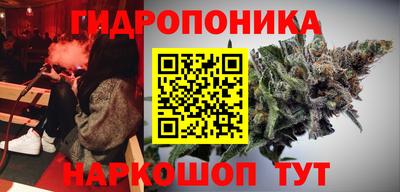 эйфоретик Гатчина