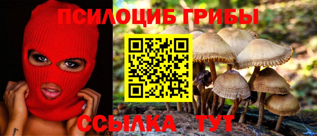 Печора  Псилоцибиновые грибы MAGIC MUSHROOMS  Вход с VPN 